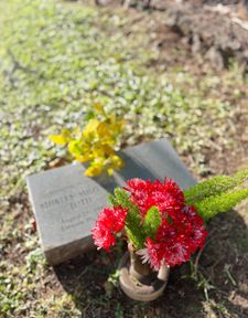 Instagram post by @catherinetothfox