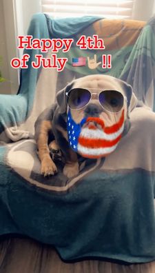 Instagram post by @chalinothebulldog6