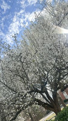 Instagram post by @conawaytwinss