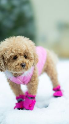 Instagram post by @creativesoulphoto