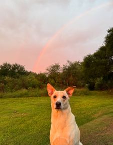 Instagram post by @damiankuc