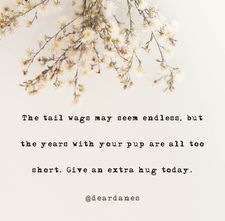 Instagram post by @deardanes