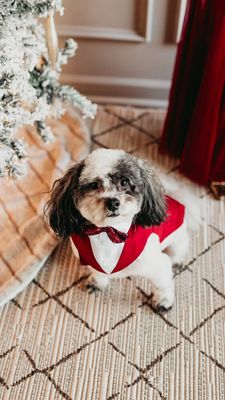 Instagram post by @devanaturner