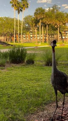 Instagram post by @disneyindetail