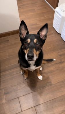 Instagram post by @doctorstevie