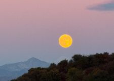 Instagram post by @domenvandevelde