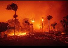 Instagram post by @domenvandevelde