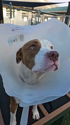 Instagram post by @dr.kenneth.rodriguez