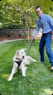 Instagram post by @dr.noc