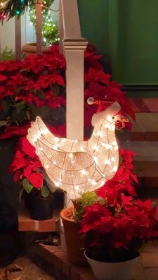 Instagram post by @drinkingwithchickens