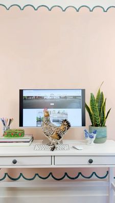 Instagram post by @drinkingwithchickens