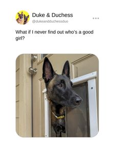 Instagram post by @dukeandduchessduo