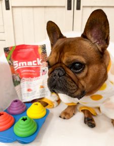 Instagram post by @dunkinthefrenchie