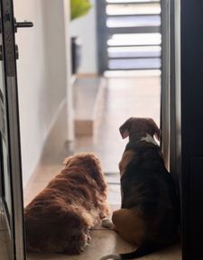 Instagram post by @emmanovoage