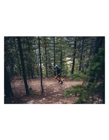 Instagram post by @eric_lagerstrom