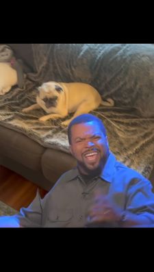 Instagram post by @erikaerickson