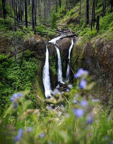 Instagram post by @extreme_oregon
