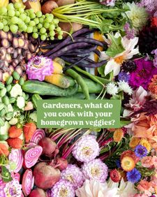 Instagram post by @farmluxe