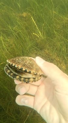 Instagram post by @firststatefishing