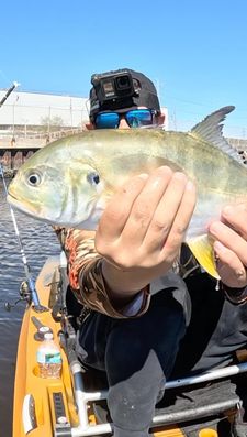 Instagram post by @firststatefishing