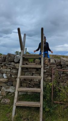 Instagram post by @fitlassontour