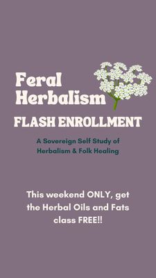 Instagram post by @florawellness