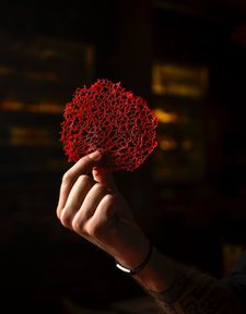 Instagram post by @francoisdaubinet