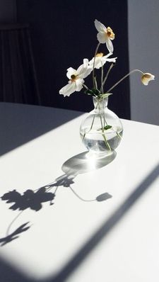 Instagram post by @frknusnmz