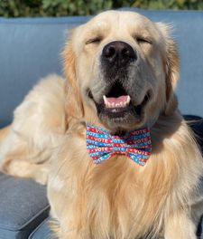 Instagram post by @goldenboy.barkley