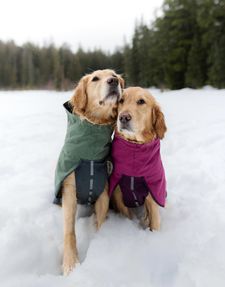 Instagram post by @gonegoldens