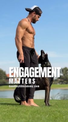 Instagram post by @good.boyk9