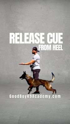 Instagram post by @good.boyk9