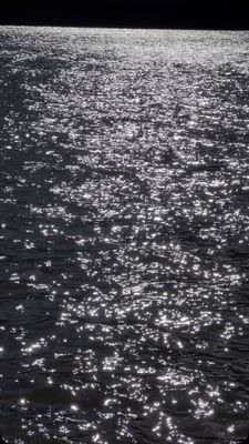 Instagram post by @goodwoodx