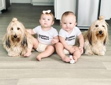 Instagram post by @hank_hugo