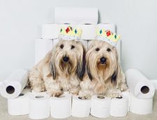 Instagram post by @hank_hugo