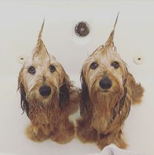 Instagram post by @hank_hugo