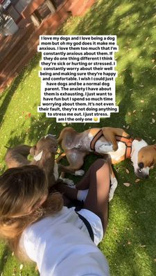 Instagram post by @harveytherescue