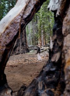 Instagram post by @helenarobezniece