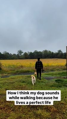 Instagram post by @hudsondoodlebear