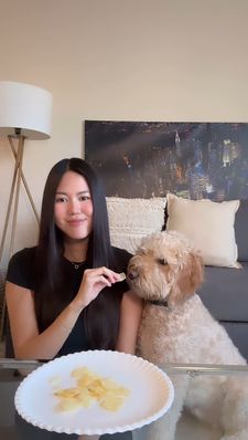 Instagram post by @hudsondoodlebear