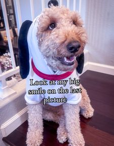 Instagram post by @i.amteddythedoodle