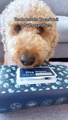 Instagram post by @i.amteddythedoodle