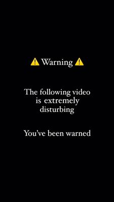 Instagram post by @indy.thecockapoo