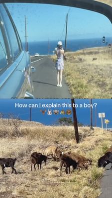 Instagram post by @irinadoodle