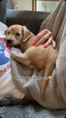 Instagram post by @itsyaboy_winston