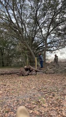 Instagram post by @ivyleaffarms