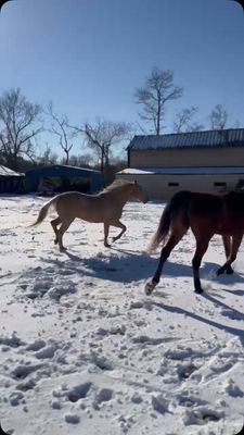 Instagram post by @ivyleaffarms