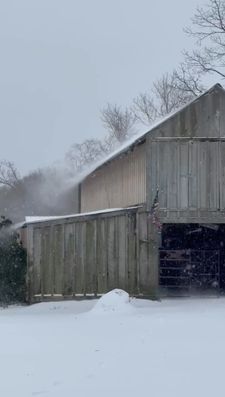 Instagram post by @ivyleaffarms