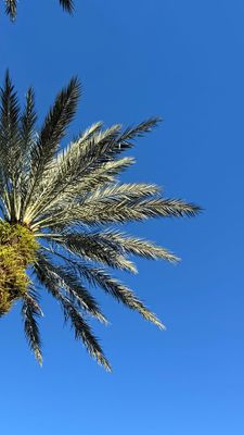 Instagram post by @jacquelyn.paige