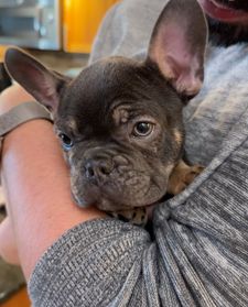 Instagram post by @jasonmatheson